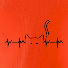 Mačka EKG