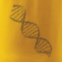 DNA čiernobiele DNA čiernobiele