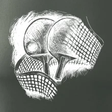 Ping pong rakety a sieť