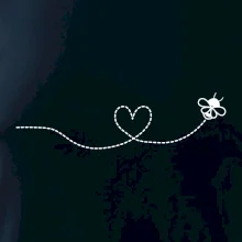 Dráha letu včely - srdce Dráha letu včely - srdce