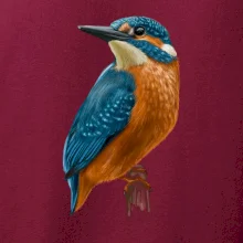 Ľadnáčik kreslený Ľadnáčik kreslený