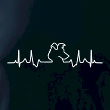 Borderská kólia EKG