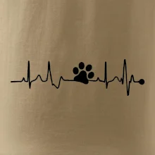 Ekg psia labka Ekg psia labka