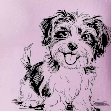 Havanský psík skica