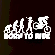 Evolution Born to ride