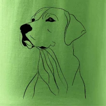 Labrador čierna kresba