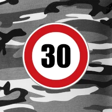 Dopravná značka - obmedzenie rýchlosti 30 Dopravná značka - obmedzenie rýchlosti 30