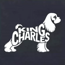 Labrador nápis v tele