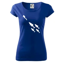 Potápač žraloky Potápač žraloky