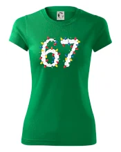 67 vianočné osvetlenie