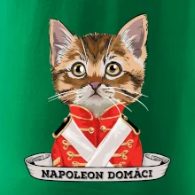 Napoleon domáci mačka