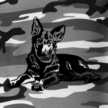 Nemecký ovčiak - šteňa