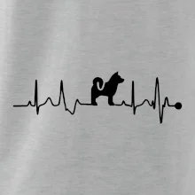 Shiba-Inu EKG