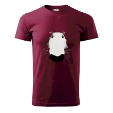 Barzoj čumák (Moňas)