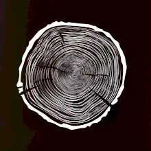 Letokruhy 75 bez veku