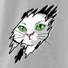 Kočka v roztrženém triku