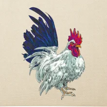 Kohút kreslený biely