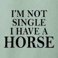 I have a horse I have a horse