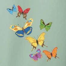 Farebné motýle Farebné motýle