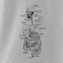 Skica ľudských orgánov