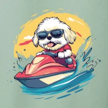 Lhasa Apso na vodnom skútri