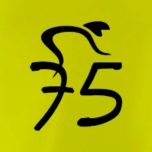 Cyklista oslavuje sedemdesiatpäťpäťky (75)