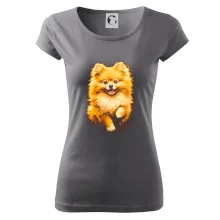 Obrázok poltón Pomoranský špic