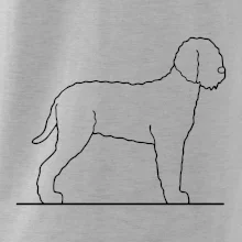 Lagotto romagnolo stojaci