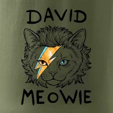 David Meowie