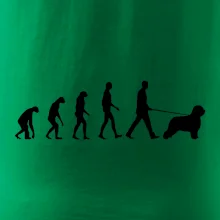 Evolúcia pes Briard