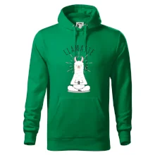 Yoga Llamaste Yoga Llamaste