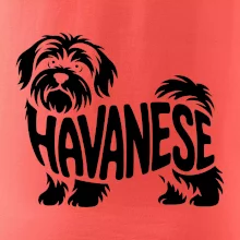 Havanese nápis v tele