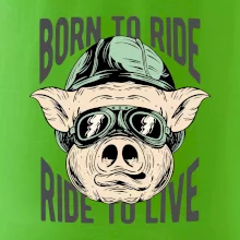 Born to Ride prasák