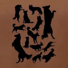 Border kólia siluety