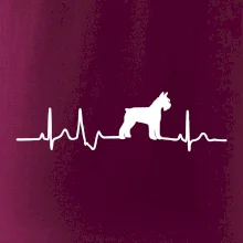 Ekg bradáč telo