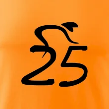 Cyklista oslavuje dvadsaťpäťku (25)