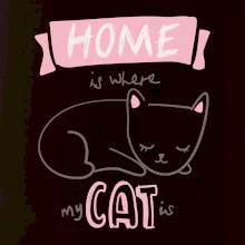 Home is where my cat is