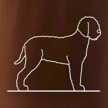 Lagotto romagnolo stojaci