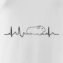 EKG morča EKG morča
