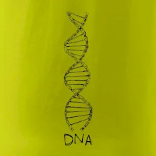Cyklistovo DNA