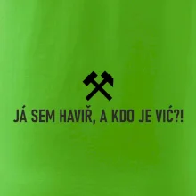 JÁ SEM HAVIŘ, A KDO JE VIĆ?!﻿