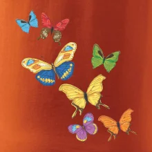 Farebné motýle Farebné motýle