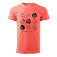 Vrstevnice najvyšších Českých hôr