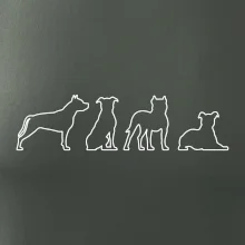 Americký stafordšírsky teriér v rôznych pozíciách