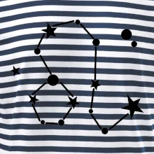 Súhvezdie - Leo - Lev