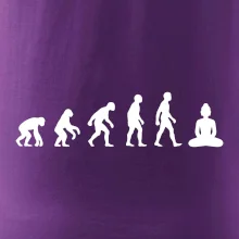 Evoluce budha