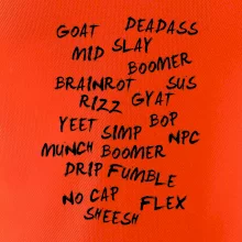 Generácia Z - Gén Z slovník