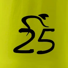 Cyklista oslavuje dvadsaťpäťku (25)