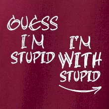 Guess iam stupid