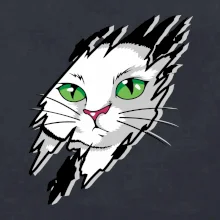 Kočka v roztrženém triku